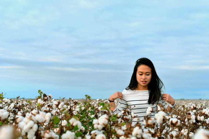 Woman sitting in a field of cotton