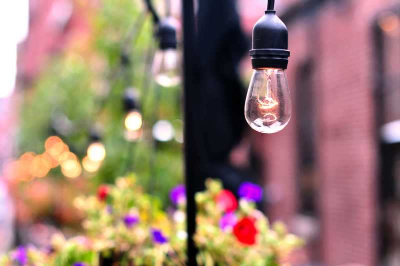 A blurred background of a string of lights and a box of flowers with the focus on a single candescent bulb