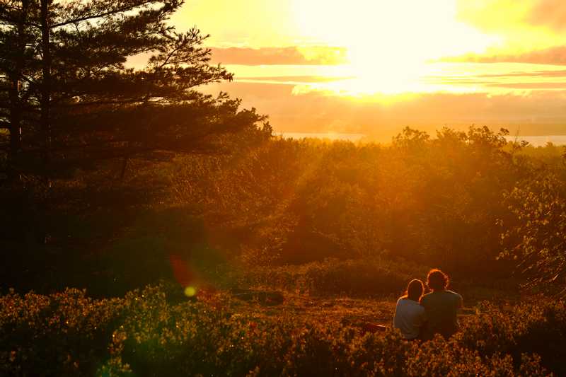 Couple sitting together watching sunset