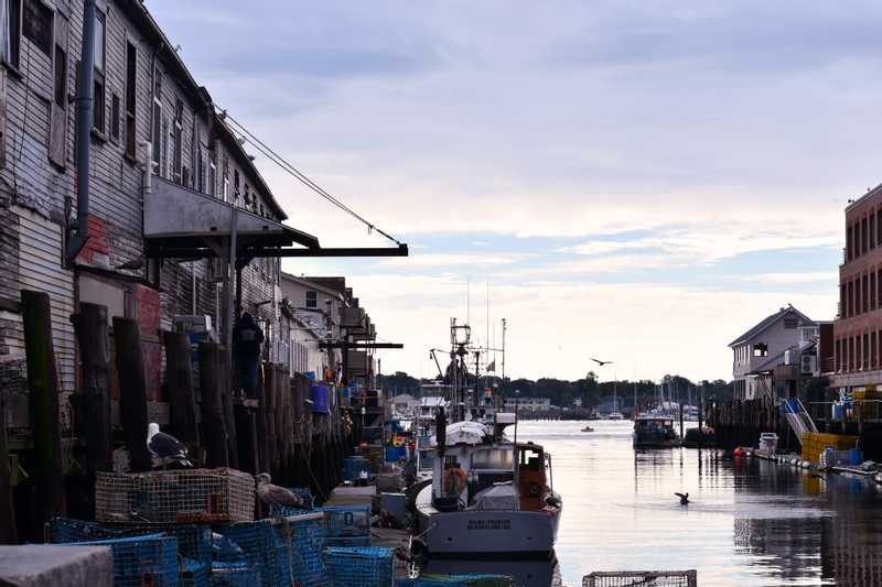 A quiet harbor full of fishing boats