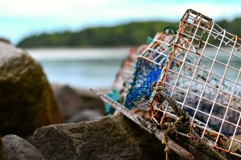 Washed up crab traps sitting on some rocks