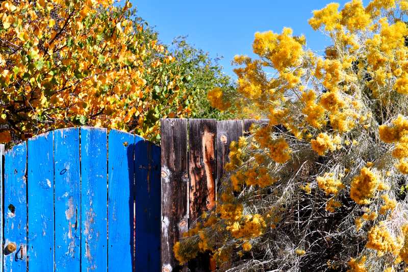 A weathered blue door on the beautiful Canyon Road