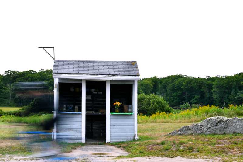 A bicyclist zooms by a little stand selling freshly cut flowers