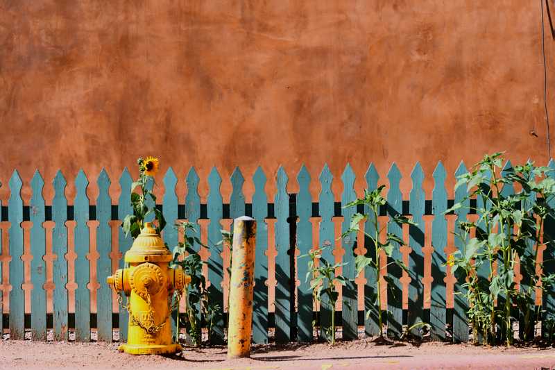 fire hydrant with sunflower growing behind on Santa Fe street